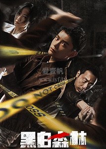 黑白森林-05-免费在线观看-爱壹帆
