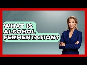 What Is Alcohol Fermentation? - Biology For Everyone
