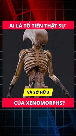 AI MỚI LÀ TỔ TIÊN THẬT SỰ CỦA-XENOMORPHS #shorts #phimhay