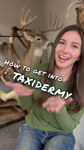 How to get into taxidermy 🦌 I get this question a lot, so I made a full length video on the subject! #taxidermy #taxidermist #howtogetintotaxidermy #wildlife #wildlifeart #animalart #animals