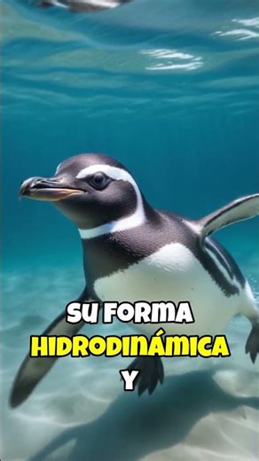 Why penguins can't fly but swim faster than fish