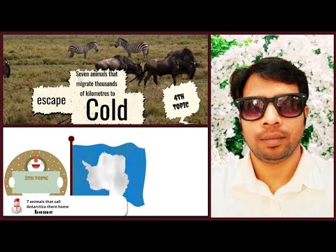 2 more Mind Blowing Topics About Winter Animals. Presented by Muntaquib ‪@Socialcausematters‬