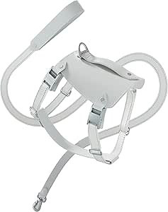 Dog Harness and Leash Set, Puppy No Pull Harness with Reflective Leash, PU Leather Pet Harness with Handle Neck & Chest Adjustable for Walking, Running (Medium, White)