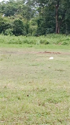 Hangchuon Naron on Reels