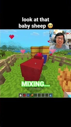 Minecraft Baby Sheep Moment