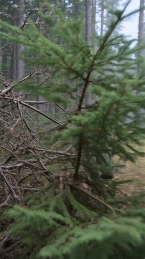 I Hid in a Hidden Forest Bunker While a Werewolf Tried to Break In #ForestSurvival #WerewolfEncounter #HiddenBase #POVFootage #FoundFootageHorror