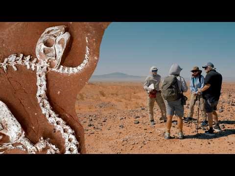 A New Window Into the Dino Extinction Event