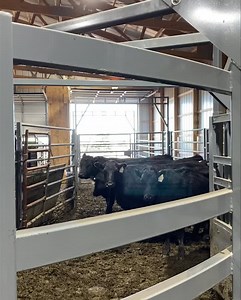 1.7K views · 64 reactions | We have had several requests for a more...