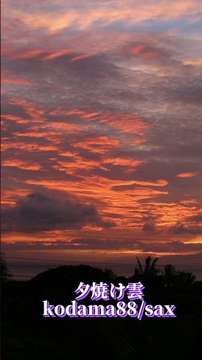 夕焼け雲～kodama88/sax。 #サックス #夕焼け雲 #千昌夫 #kodama88 #昭和歌謡 #shorts