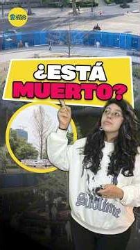 ¿Por qué el AHUEHUETE de REFORMA se ve SECO? El secreto de los ÁRBOLES CADUCIFOLIOS #ciencia #stem