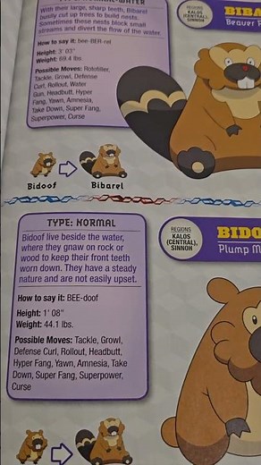 How to Pronounce Bidoof + What His Name REALLY Means! #Pokemon #Shorts