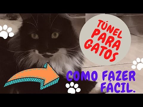 Túnel para gatos, pets, como fazer fácil passo a passo.