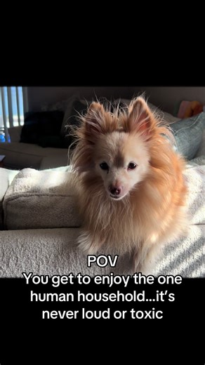 Foxy Beyond 40 (@foxyfontana)’s videos with original sound - joe_and_mia