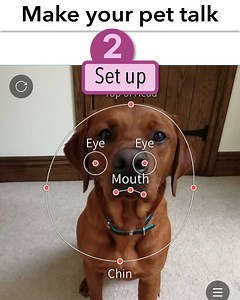 Try it with your own photos! | My Talking Pet