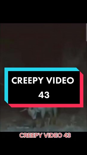 Creepy video 43 #creepy #creepyvideo #paranormal #horror