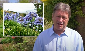 Alan Titchmarsh shares ‘technique to adopt’ when dividing perennials