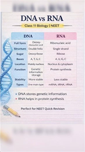 Difference between DNA Vs RNA