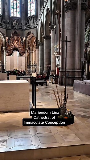 I visited Mariendom Linz - Cathedral in Linz | Fr Mazi Uc