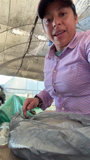 Ultimate Work Experience of 2025