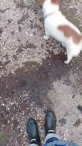 Someone was feeling himself again... even had a bit of a swim!!! 😅🥶 | Carla Taylor