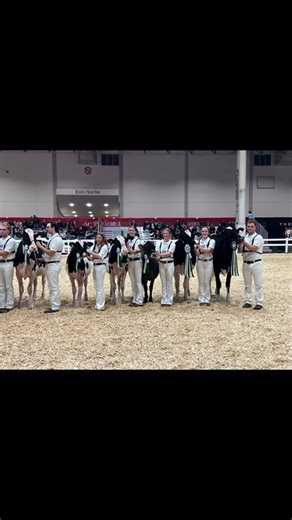 Highlights from Day 2 at Canada’s Premier Dairy 4-H Show. Amazing energy, amazing vibe. Have a great day 3 friends! | TD 4H Classic