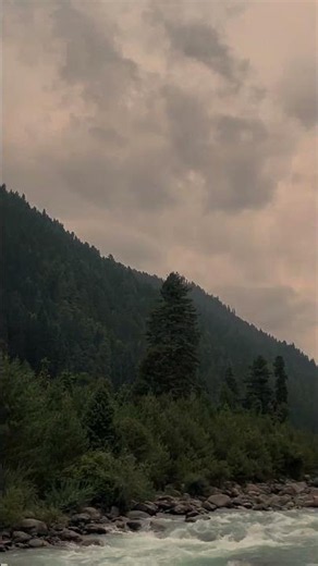 Heaven On Earth 🌿✈️ || #shorts #trip #travel #jannatkashmir #explore