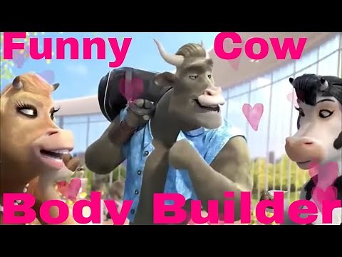Most Funny Cow Cartoon Animation Ad series for Kids!! Funny Cartoon Cows Shows Fun for Kids!!