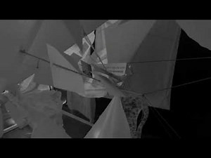 TRANSLOCATION REGULATIONS