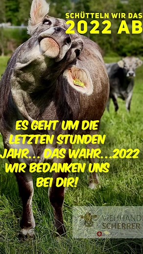 6.6K views · 18 reactions | Vor uns liegen nun 365 ungeborene Tage...