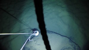 Scientists find unexpected sea life on boulder under Antarctic ice shelf