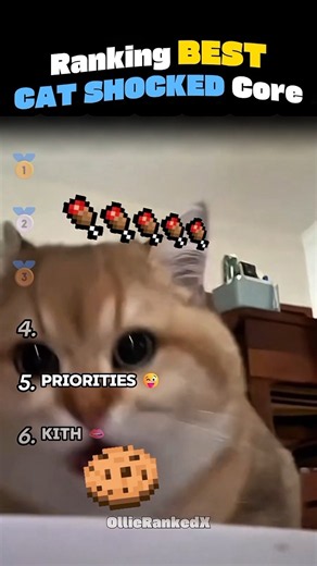 Ranking The Most Dramatic Cat Shocked Reactions 🏆😼
