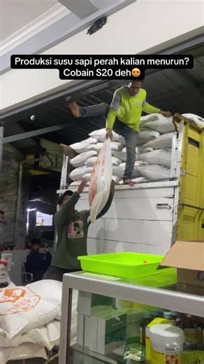 Alhamdulillahh MasyaAllah TabarakAllah, dalam satu minggu bisa kulakan 2-3 kali😇🙏🏻 Itu menandakan apa bolo? Iyak betul banyak yang suka S20😍🐮 Banyak pelanggan yang bilang produksi susunya naik semenjak pakai S20. Dari yang 10 liter jadi 14 liter, dari 8 melken jadi 11 melken, dari 15 liter jadi 18 liter. Selain itu sapi jadi anteng alias nggak rewel.