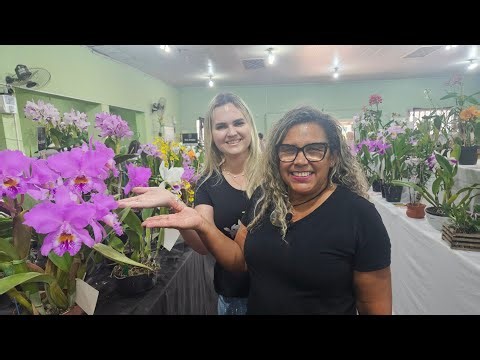 134th Orchid Exhibition Highlights Cattleya Labiata with Historic Trophy RS!