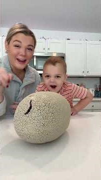 These Kids’ Dinosaur Toys Make Playtime Roar-Some Fun 🦖👶