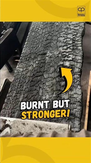 The Secret To Indestructible Wood