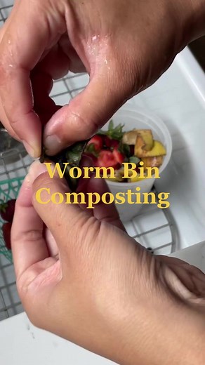 Worm Bin Composting Roast and Review