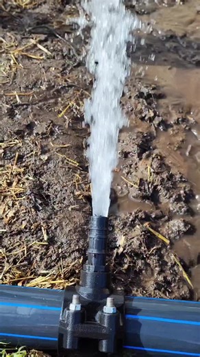 Discover Labubu: The Trendy Fashion Choices for Monsters