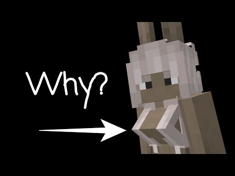 Why Human Player Models have tits in Minecraft?