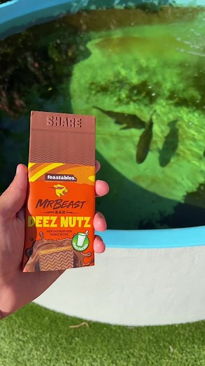 Mr. Beast Bar vs JAWS