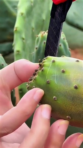 alex part 2 #textingstory #storytime | texting story