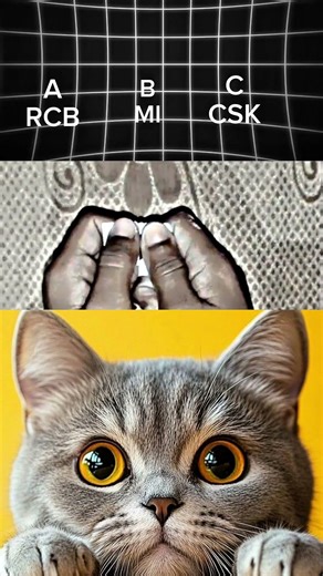 which one is best? 🤔🏏 RCB MI CSK