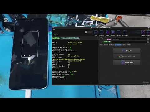 🔥 Phoenix Service Tool – Daily Success Logs FRP