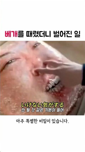 이 베개가 잘 팔리는 이유