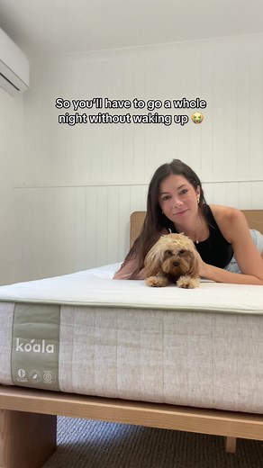 No complaints, just sweet dreams 😴 #koala #cozyvibes #bedroomideas #living