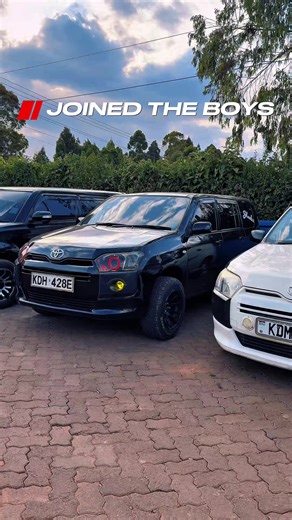 Visiting The Boys: Exploring Car Shade Options