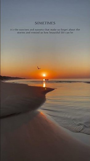 Quotes It’s the Sunrises 🌅 and Sunsets That Make Us Forget About the World
