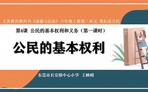 《公民的权利》说课
