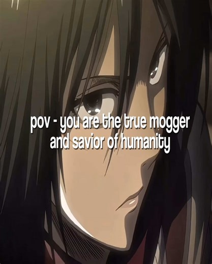 True liberator and stacy of the series #mikasaackerman #mikasaedit #aot #fyp #repost