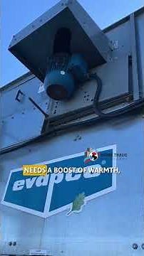 What does the cooling tower do in a Water Source Heat Pump system? #hvac #hvacmaintenance #heatpump