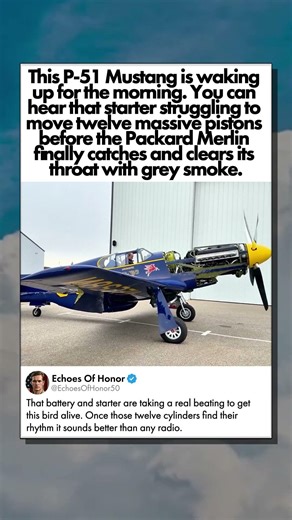 PACKARD MERLIN ROARING TO LIFE